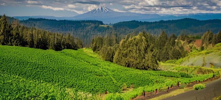 Oregon’s lush landscapes and potential clean tech sites